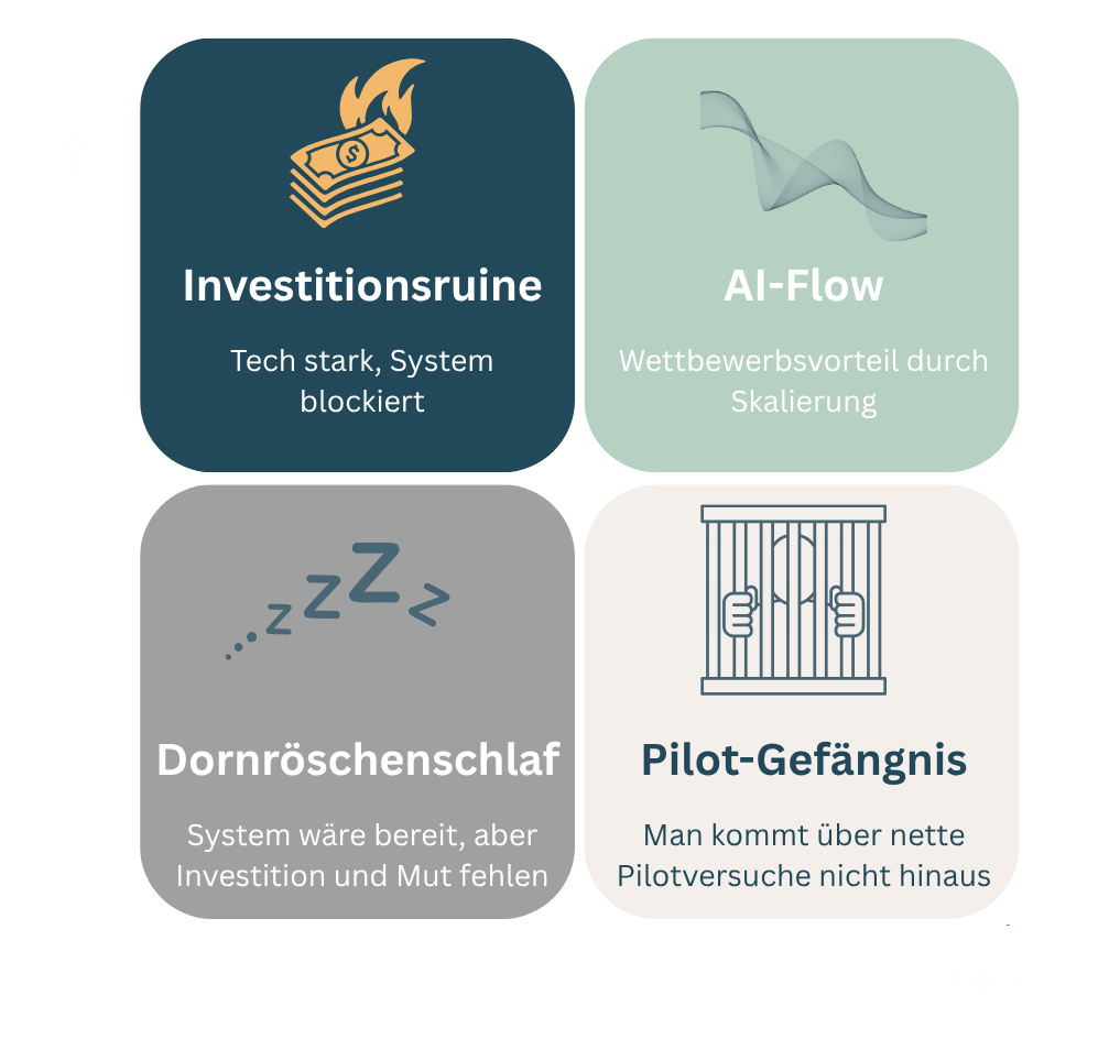 Matrix Organisationaler AI-Reifegrad